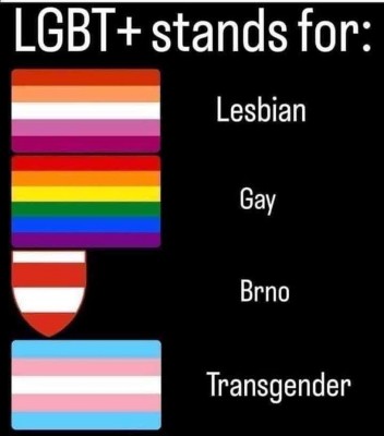 LGBT flags.jpg