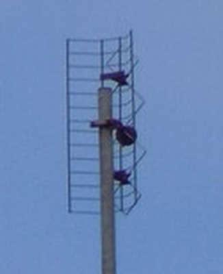 antena 1.jpg