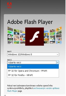 Flash Player-.jpg