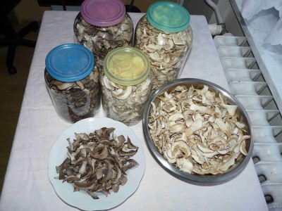 Sušené houby a jejich doporučené skladování.
<br />Uzavřené ve sklenicích - zamezí navlhnutí a vniknutí potravinovým molům.