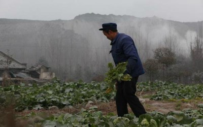 čínské farmy jsou standardně okolo fabrik chrlící kouř a smog plný jedovatých látek